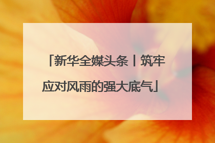 新华全媒头条丨筑牢应对风雨的强大底气